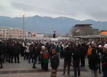 Grevde Mutlu Son