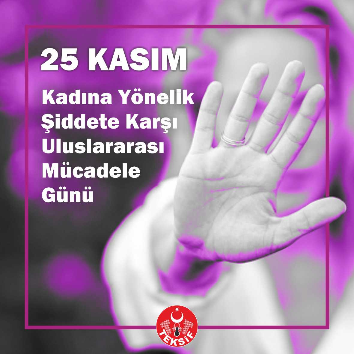 25 Kasım Kadına Yönelik Şiddetle Uluslararası Mücadele Günü görseli