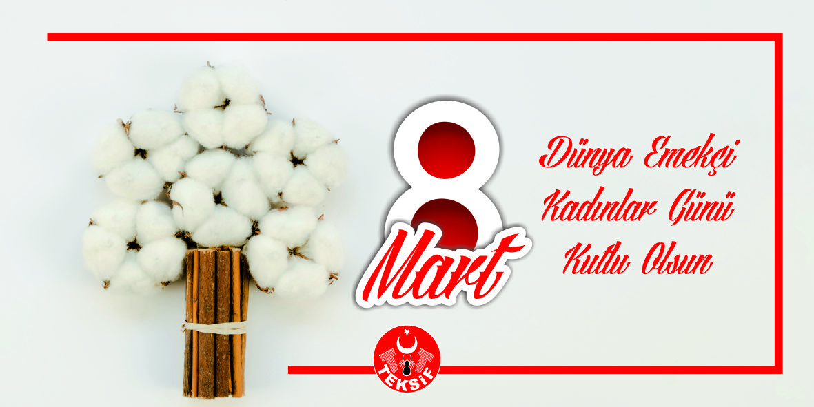 8 MART DÜNYA EMEKÇİ KADINLAR GÜNÜ KUTLU OLSUN görseli