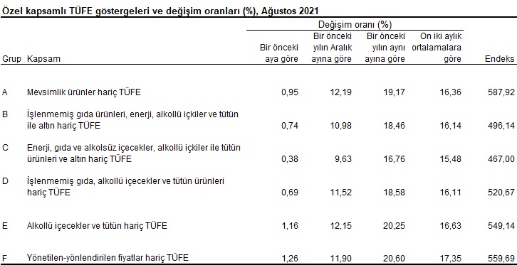 Tüketici Fiyat Endeksi, Ağustos 2021 görseli