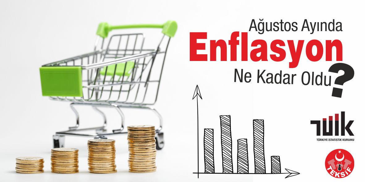 Tüketici Fiyat Endeksi, Ağustos 2021 görseli
