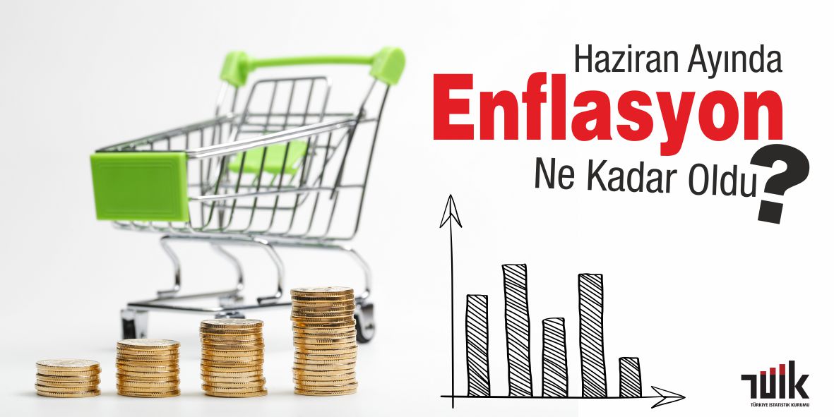 Tüketici Fiyat Endeksi, Haziran 2020 görseli