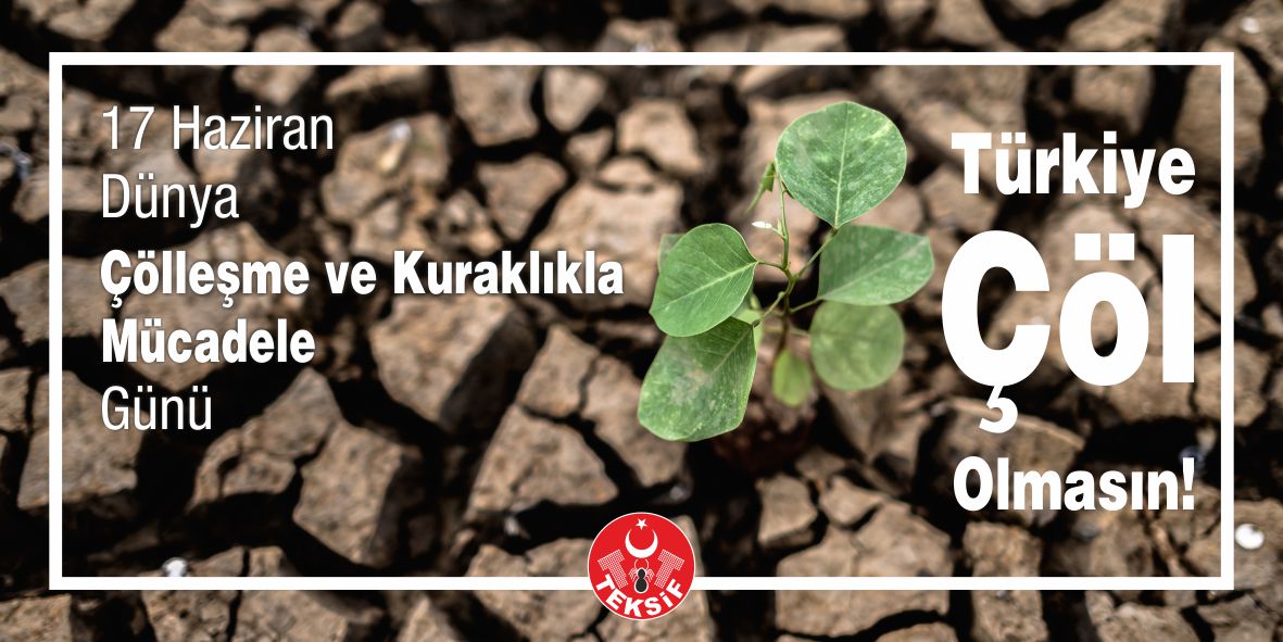 Dünya Çölleşme ve Kuraklıkla Mücadele Günü görseli
