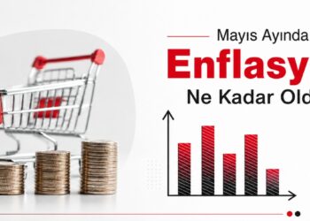 Tüketici Fiyat Endeksi, Mayıs 2026