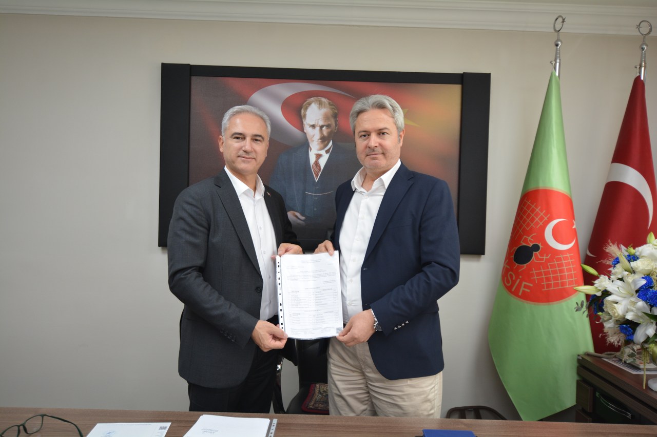 Galeri Medyası