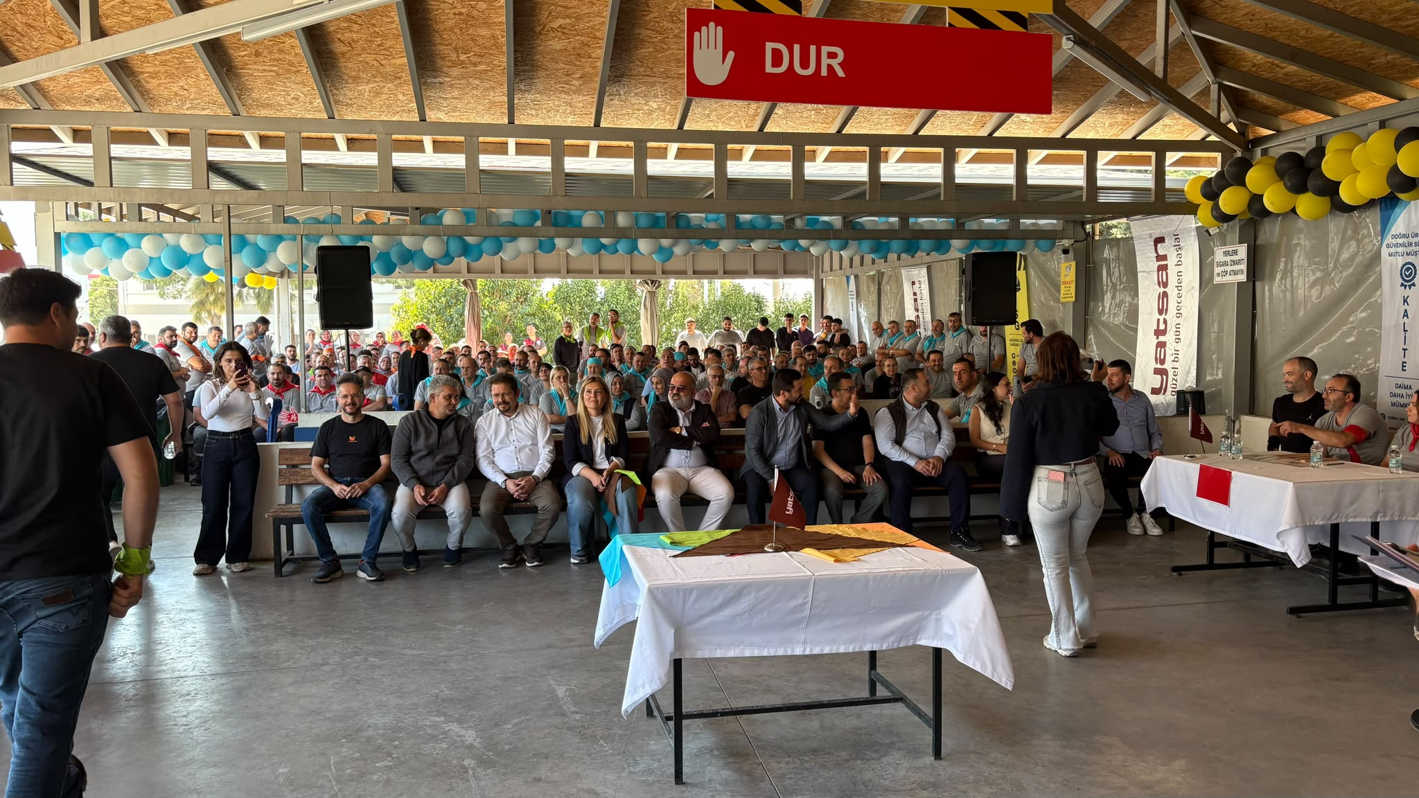 Galeri Medyası
