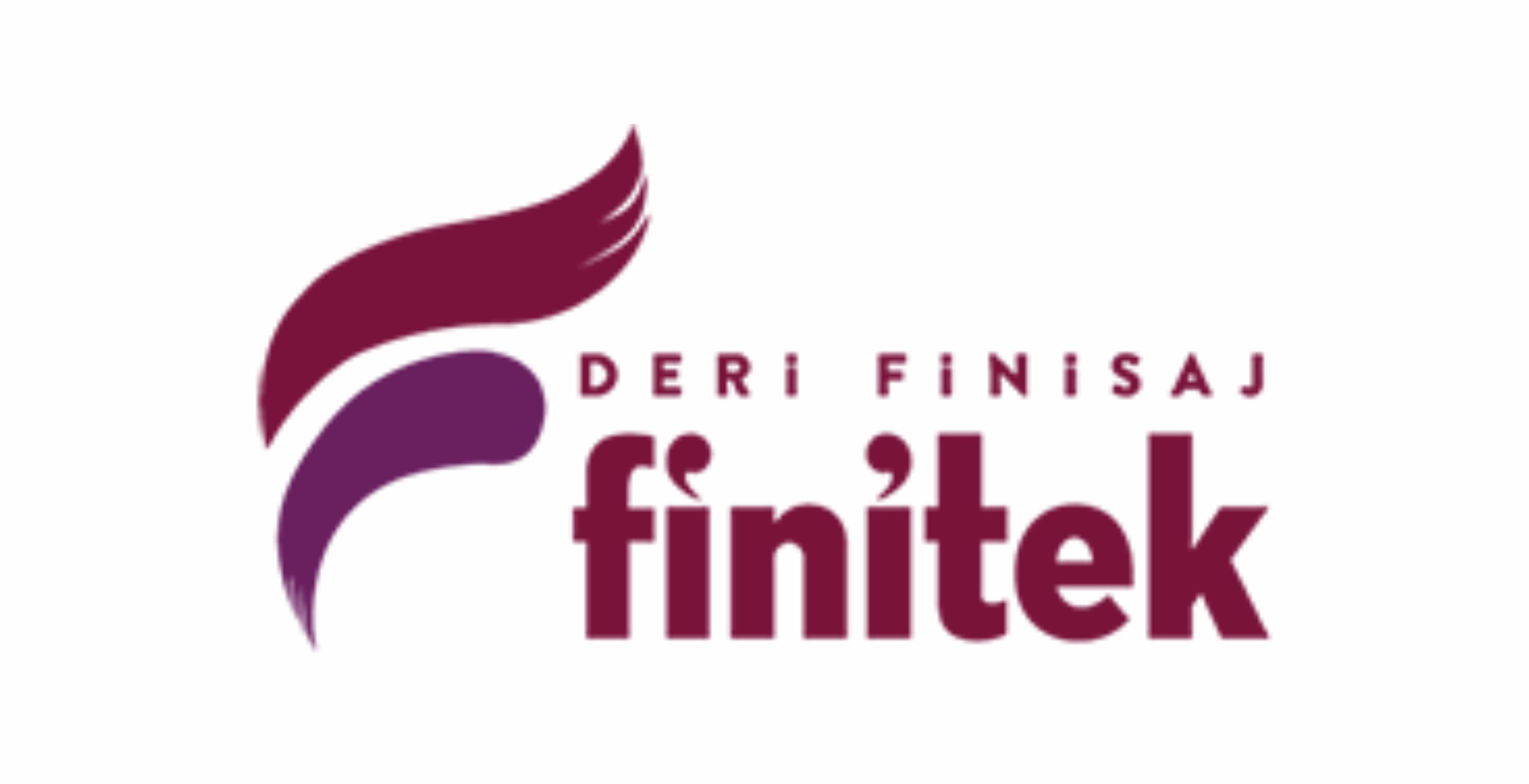 FİNİTEK